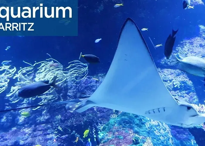 Grand 85m2 Centre De 6 Pers * Биарриц